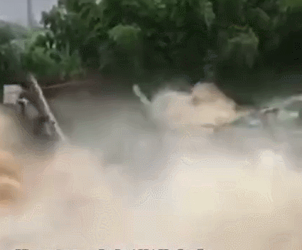 每天阅读|公交司机蓄意报复、痛失9000万男子大哭：2020，下半年依然很难