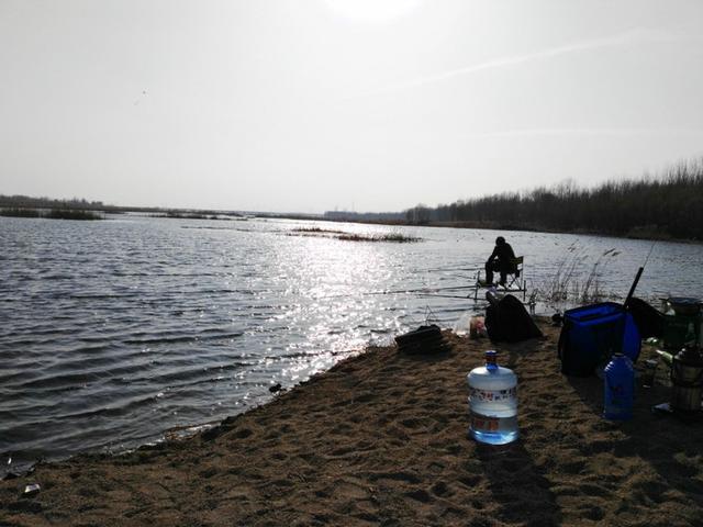 饵料|这三个特征点,就注定了钓大鱼,除了钓钝没有更好的选择