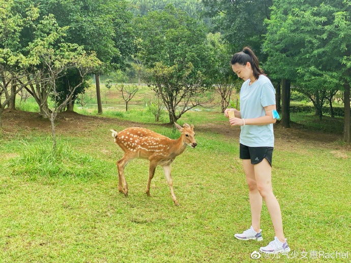 区俊炫|惠若琪带妹妹喂小鹿庆祝减肥，老公安排吃龙虾 张继科爸妈夸小惠
