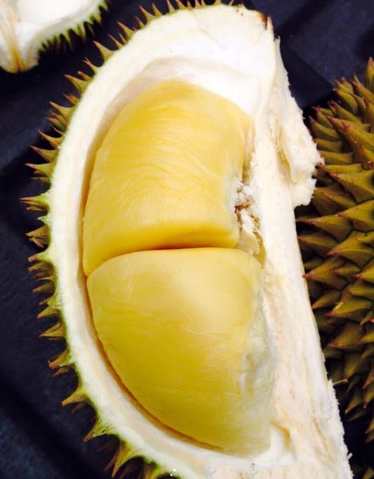 榴莲|水果之王榴莲的生长过程，花朵虽美，果实很危险