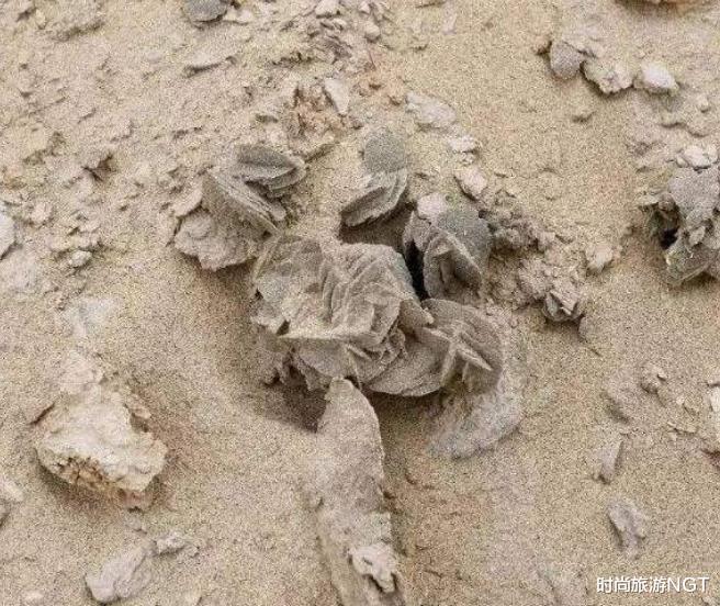 『珠穆朗玛峰』在沙漠中看到“石头”，为啥一定要捡起来？游客：我们不傻