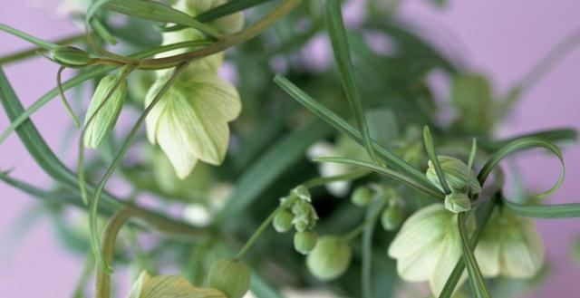 生肖|8月底,好事到,囍事来,4生肖眉开眼笑,好运走高,富裕挡不住