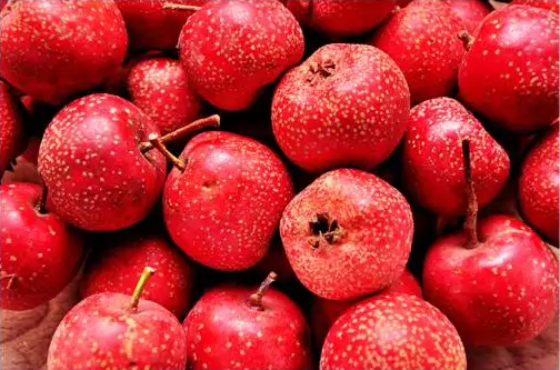 「营养膳食」血管垃圾多易“堵塞”!常吃6种食物,有助清理血液,保护血管