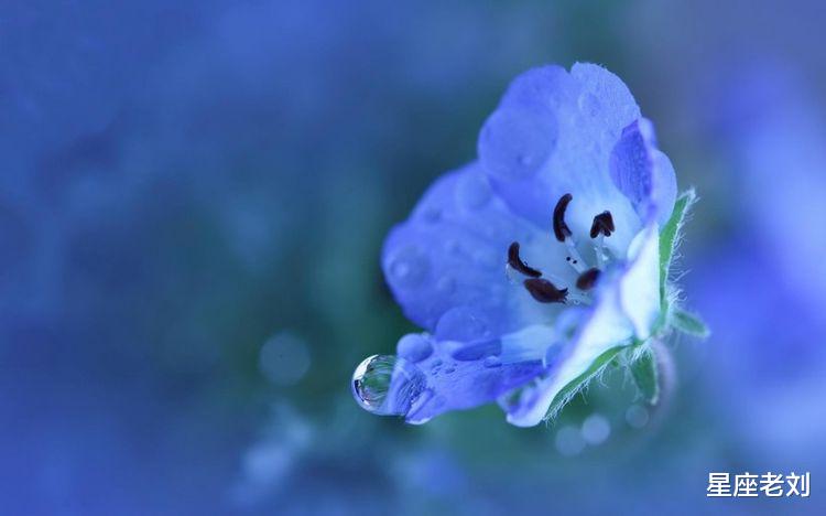 1月下旬起财神入门庭，好事主动找上门，家中喜事不断的属相