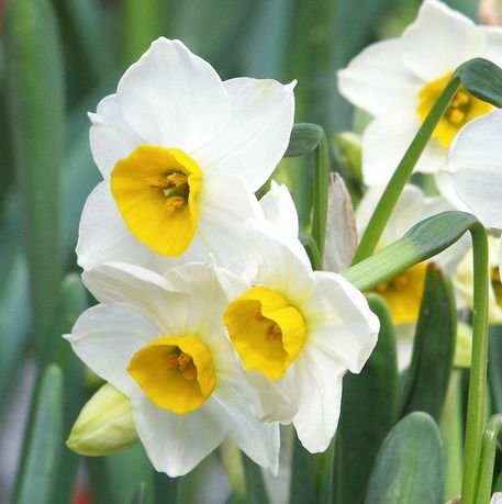 吉星|10月运势上涨，4属相吉星照耀，贵人相助，生活如鱼得水