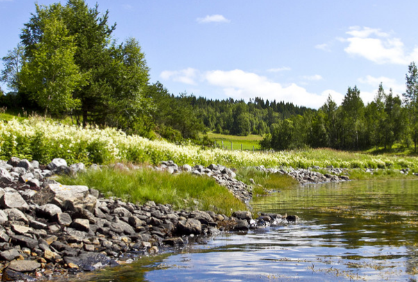 生肖|8月上旬，4属相财运不断，生意越来越兴隆，家庭和睦，万事兴