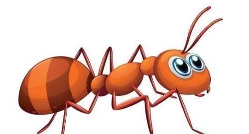 电影霸主|如果人类突然从地球消失，最有希望成为新霸主的会是哪一个物种？