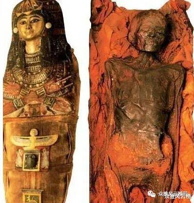 鹦鹉|34个全球至今无法解释之谜