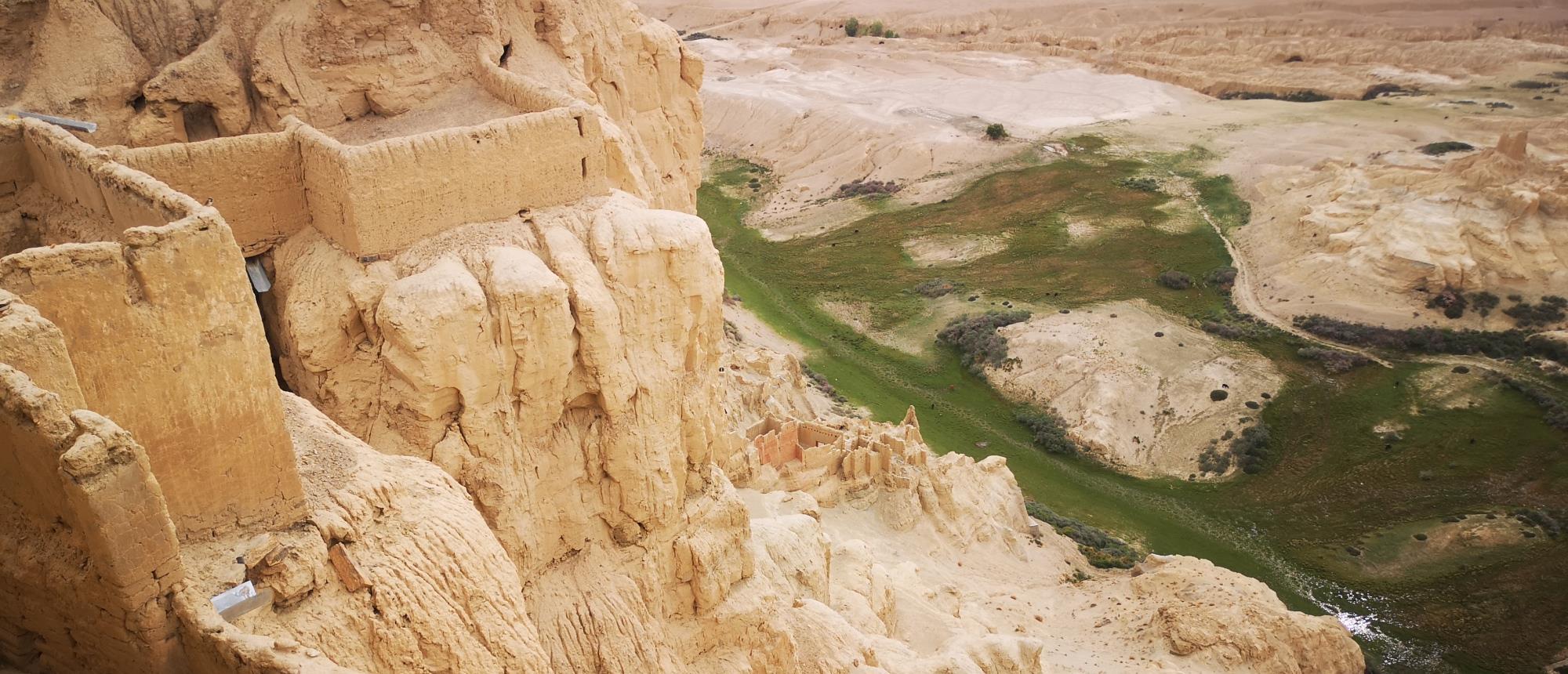 @面对愚蠢，连神们自己都无能为力