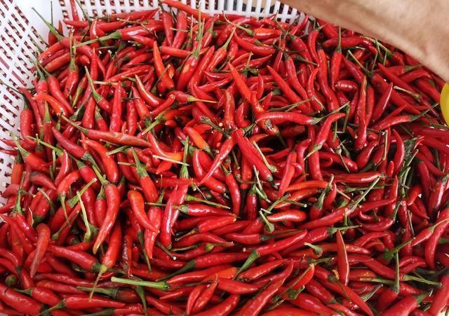 芯片 一个卖辣椒的故事告诉你：这就是中国股市背后的庄家，看完流泪了