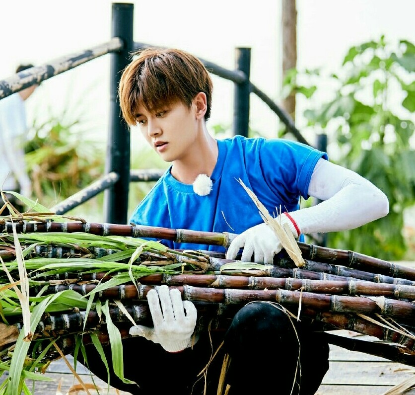 美人暮白首：向往的生活来袭，暮白首官宣，国超嘉人相依相伴，哪怕山高路远