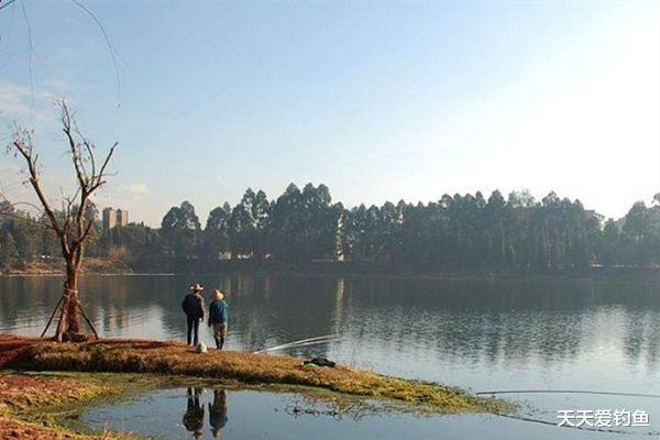 饵料|仲秋到晚秋野钓，技巧有区别，注意这些变化规律，爽钓大鱼！