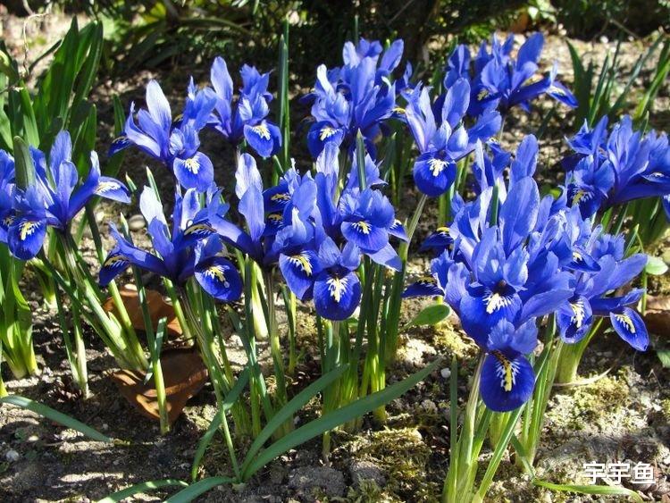 生肖|9月开始好日子享不尽，事业发展顺利，家门兴旺的四大生肖