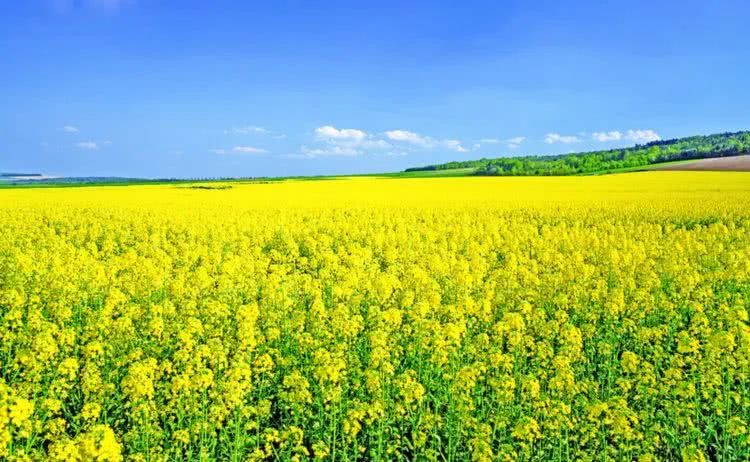 「运势」6月夏至之前，横财入口袋，3生肖运势正旺，前程光明，福星照命