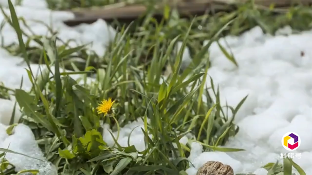 科学家▲2020年春季提前到来？科学家警告：生物节律将被打破，不是好兆头