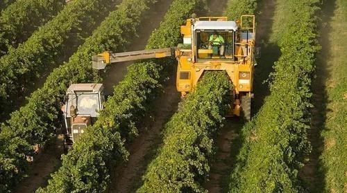 加拿大|本想对我们施压,结果刚停止对华出口,空位直接被取代