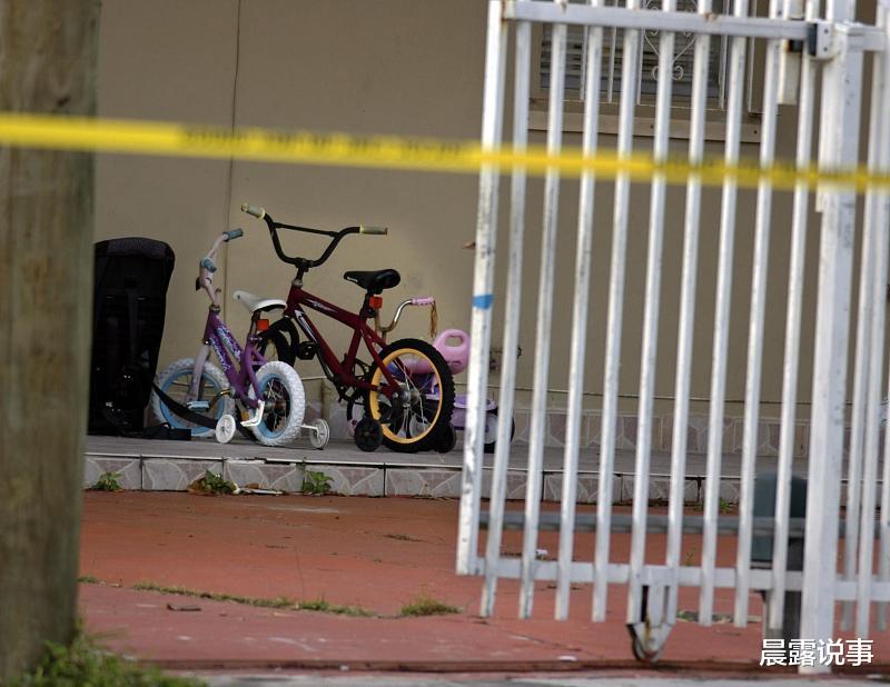 晨露说事|今年凶杀案频繁，知道为什么吗？