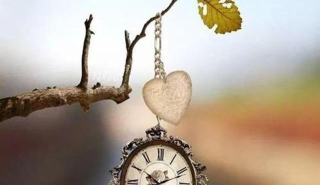 王思聪|怎么样才能“钱生钱”？首富的话或能给你答案！记住“死磕”1点