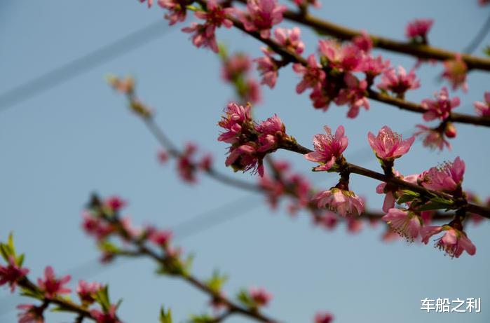 运势▲3生肖今天开始运势飙升，财运顺畅，腰包越来越鼓，看看你上榜了吗