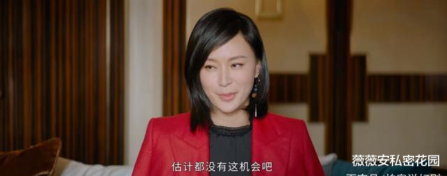 平凡的荣耀|从《三十而已》的阔太到《平凡的荣耀》中的闫总女王气场一点没变