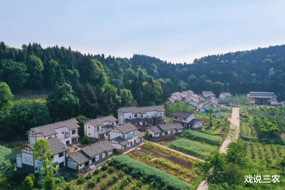 『肺炎』2020年集体产权大变革！合村并镇要启动！人均补贴8000~10000元！