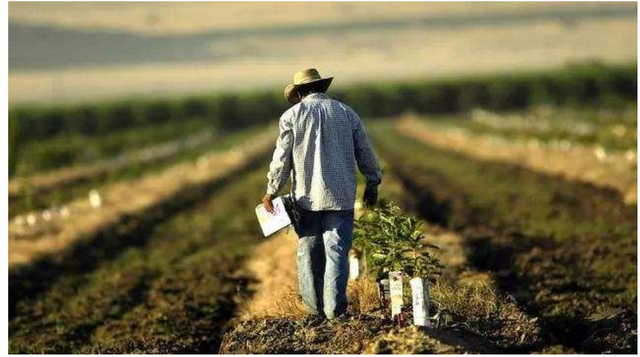 破产|实体经济全面崩溃,美国迎来史上最大危机!