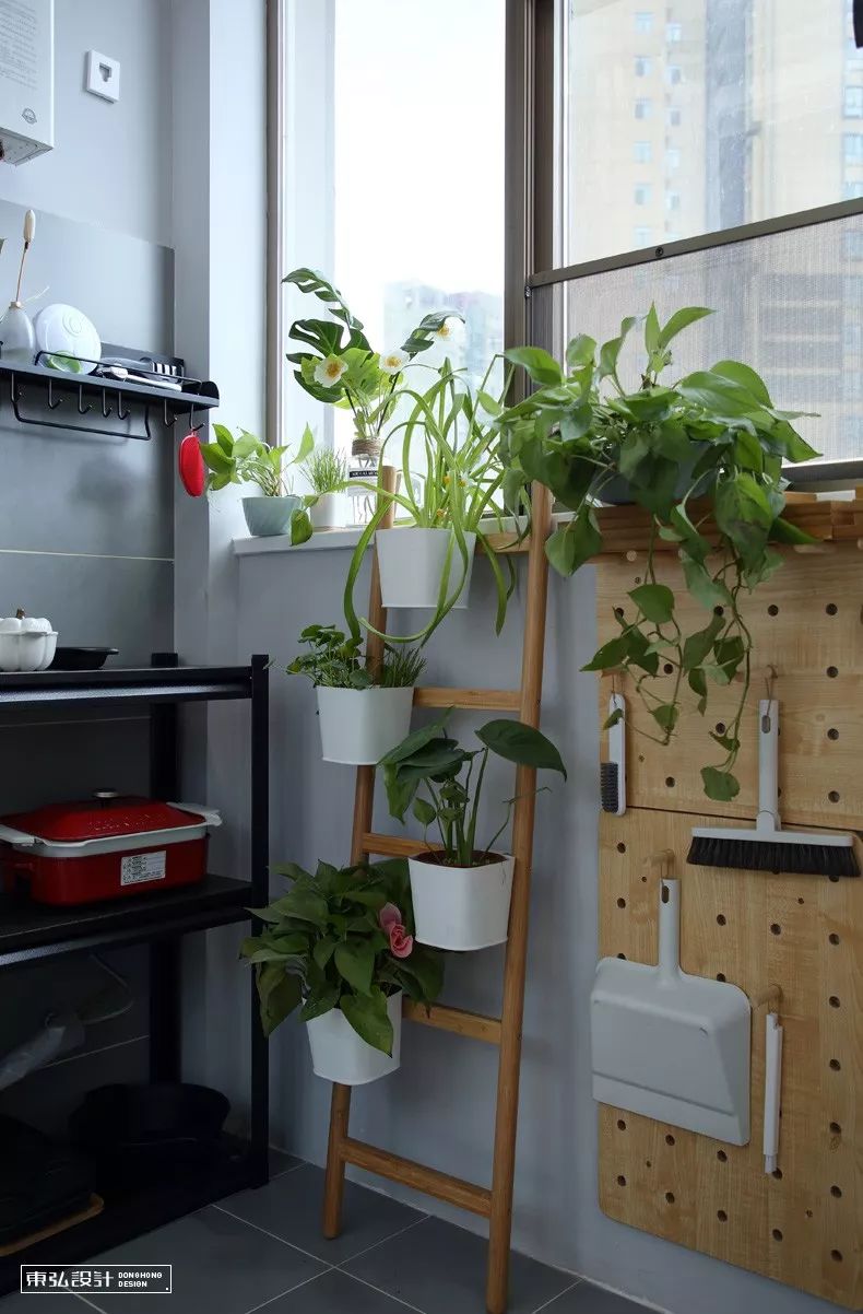 绿植怎么种更美？多种几盆，摆上架子，美出天际！