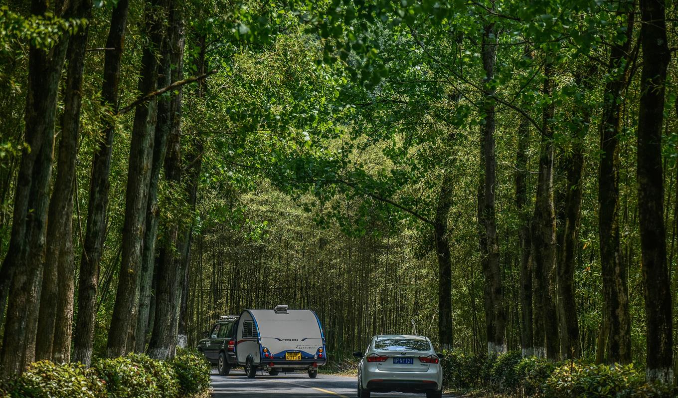 南川|从乡间小路到自驾天堂，皖南川藏线陡然走红，它到底有多美？