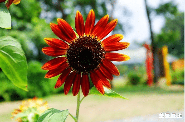 [运势]6月30号运势一飞冲天，事业有成，容易暴富的3生肖，喜讯不断
