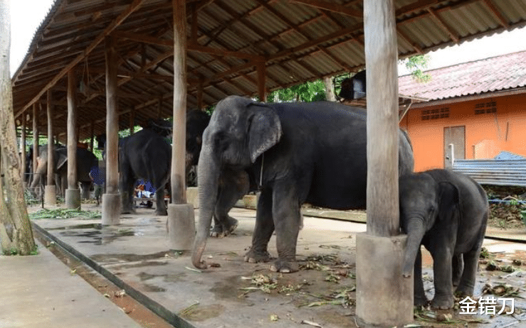 泰国■中国人再不出国旅游，这三个国家就快疯了！