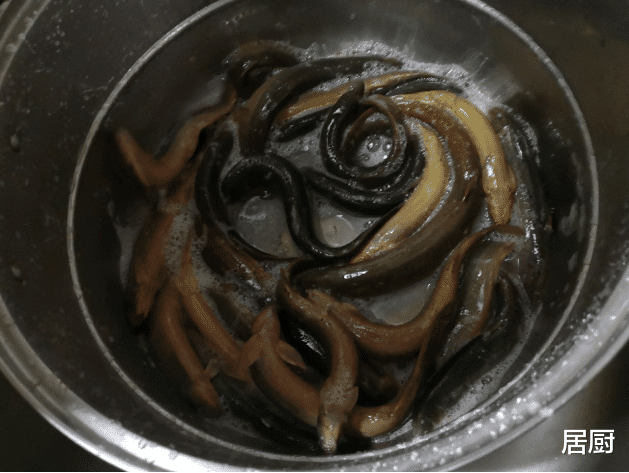 泥鳅|既是下酒菜,也是“护肝菜”,秋天吃还滋补,5元1斤好吃不贵