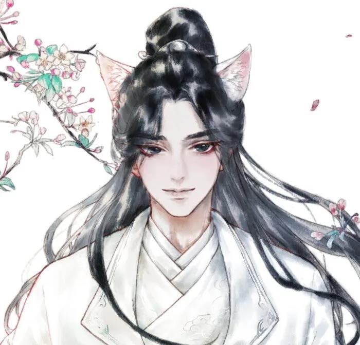 哈士奇|头像壁纸：裸熊、全球高考、国家队、二哈和他的白猫师尊、我的男票是锦衣卫