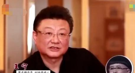 「刘纯燕」从“央视国脸”到人生赢家，“装”了32年的王宁，退休后终于露馅