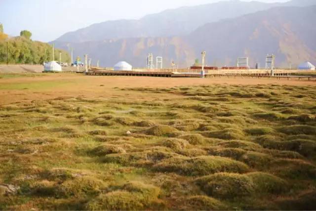 威尼斯|南疆、南疆，你要的南疆！