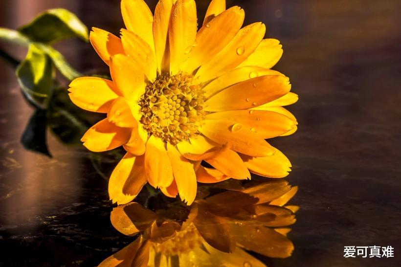 【运势】生肖羊：再熬7天，熬走一生的克星，运势急速调转，一路走好运！