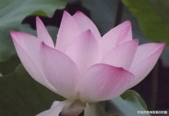 生肖|未来7天财星上门,4属相贵人相助,事业顺利,好事成双,福禄双至