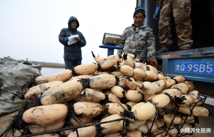 莲藕|买莲藕时，看见这3种莲藕要绕着走，卖藕老板：从不给家人吃