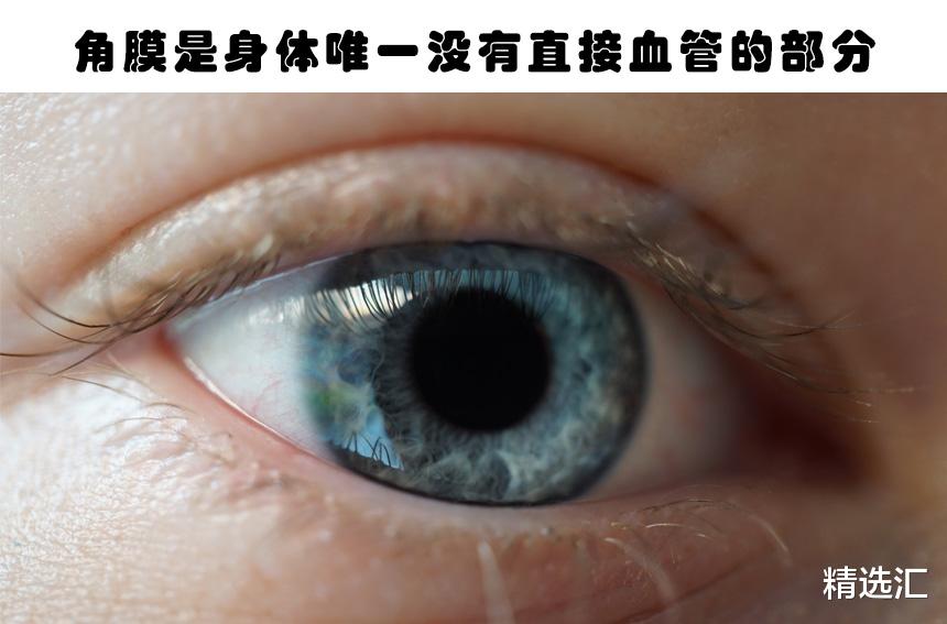 「科学家」人体冷知识：你或许未曾真正听说过的7个人体有趣事实