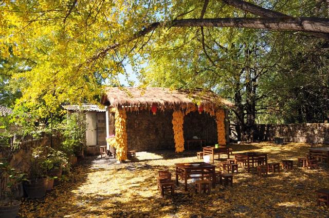 旅行|旅行中最美的15个瞬间，你经历过几个？