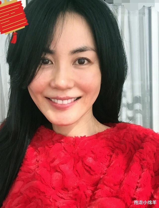 王祖贤|盘点明星最美九张脸王菲垫底,王祖贤勉强第四,第一天女下凡!