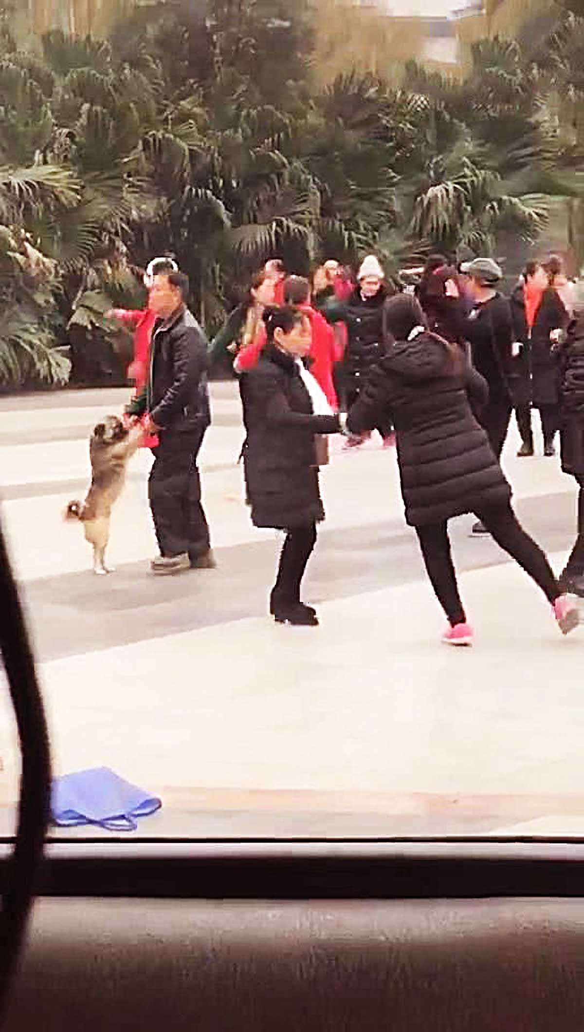 没人愿跟老人跳舞，随后老人竟做出奇葩举动，看清后让人瞬间笑喷