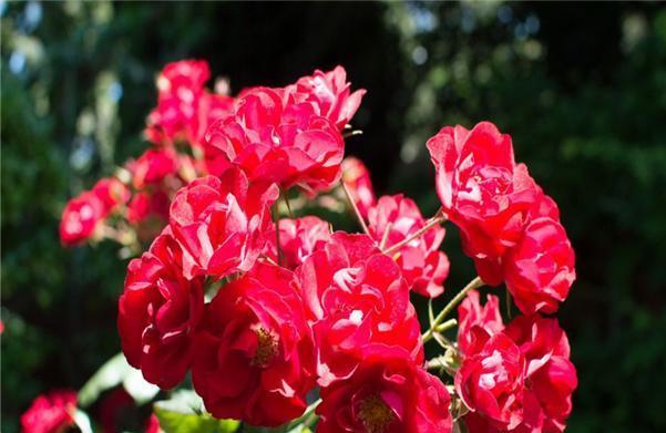 #水瓶座#值得托付终生的3大星座，三月中旬觅得良缘，幸福美满