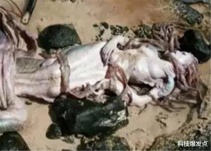 「超级地球」有人曾在古巴海底发现“鱼孩”，科学家：有3大疑点还未解决！