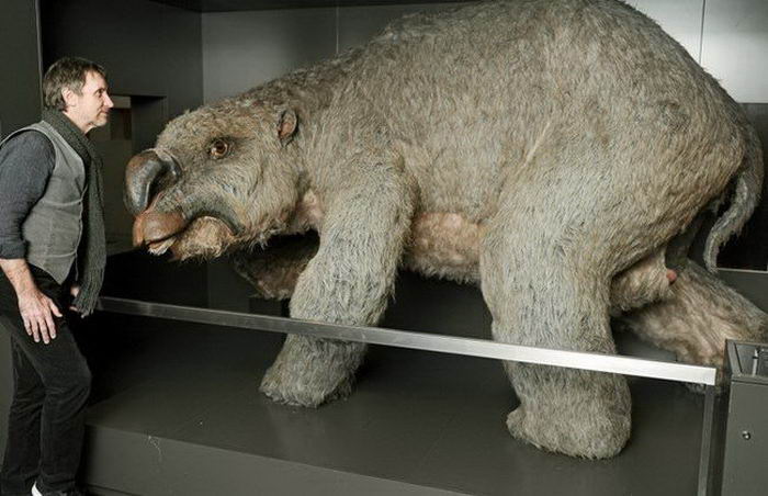 科学家|在这个世界上居住的20种生物比人类更长