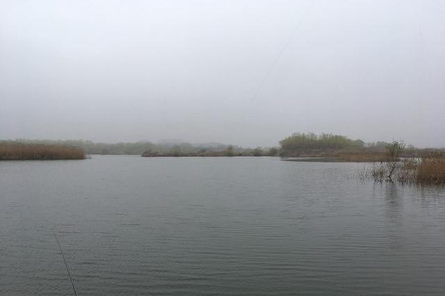 鲫鱼|深秋钓鲫鱼，认准这些地方，一准不走空，皇禾钓具