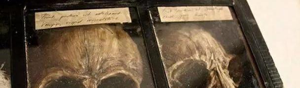 『木乃伊』九张从未见过的神秘生物标本，看的有点怀疑人生