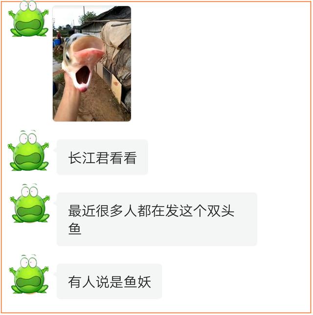 【】最近热传的“双头鱼”，是变异形成的吗？