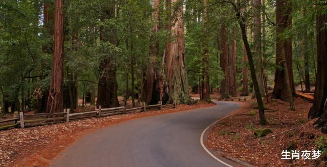 #生肖#7天后，不再留恋，斩断情缘，3生肖挥手告别旧情人，不再为爱停留