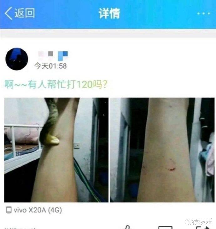 乌鸡|论马赛克的妙用，哈哈哈～不看原图能让人浮想联翩！