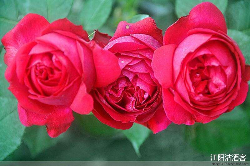 「」7月6号好运不离身的3属相, 左手财神, 右手贵人, 鼠年升官发财!